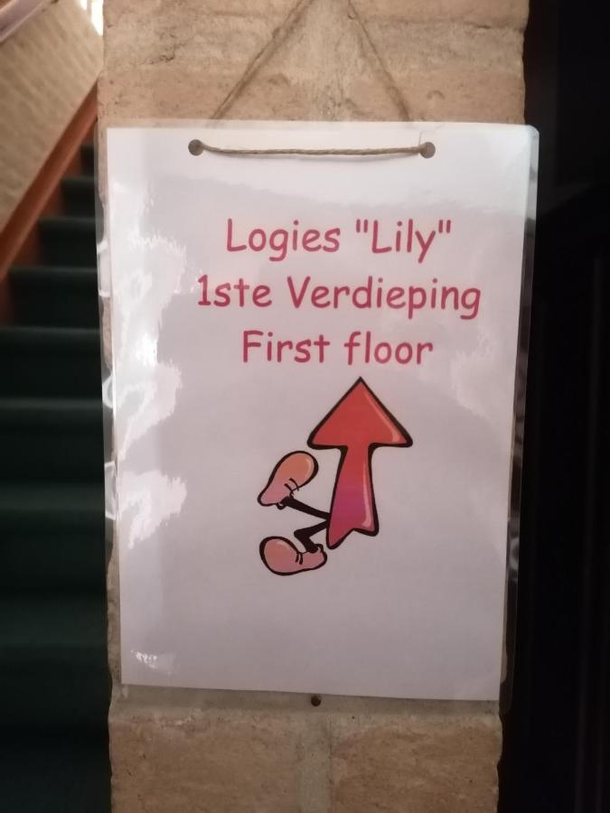 Apartmán Logies Lily Oudenburg Exteriér fotografie